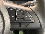 【クルーズコントロール】高速道路もラクラク走行。アクセルを離しても一定速度で走行ができ、長距離運転時の負担を軽減!加速・減速も簡単なスイッチ操作で調整できます。