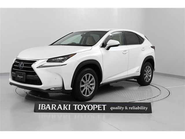NX 300h Iパッケージ 