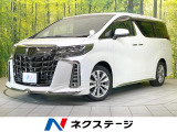 レーダークルーズ バックモニター Bluetooth CD/DVD