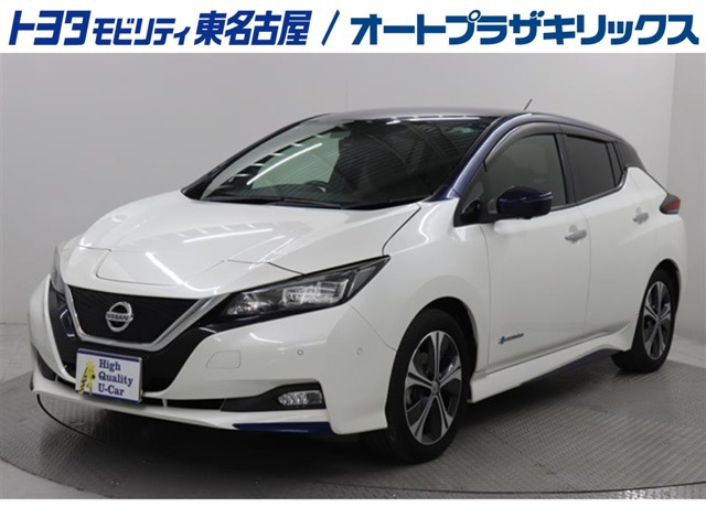 リーフ G 