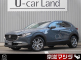 【マツダデザイン】 クルマを単なる移動手段だけでは終わらせない。それ自体に魂が宿った様な、躍動感溢れるボディ造形を目指しました。