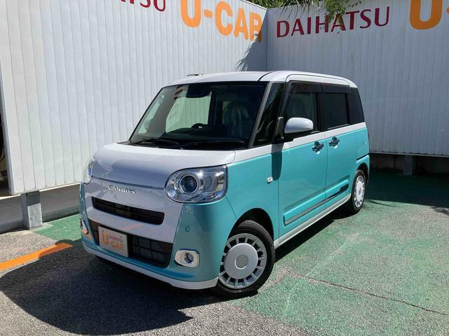 ムーヴキャンバス  ストライプス G