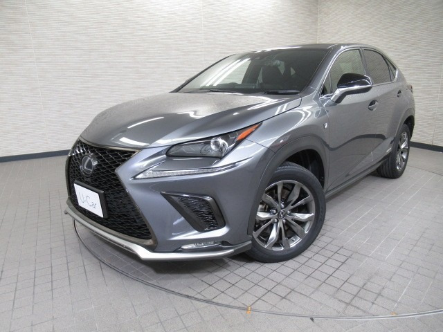 NX 300h Fスポーツ 