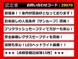 CT 200h バージョン L 最終型 ワンオーナー サンルーフ 本革