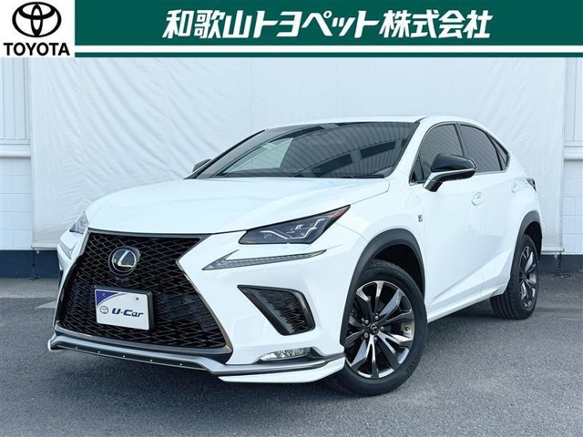 NX 300 Fスポーツ 
