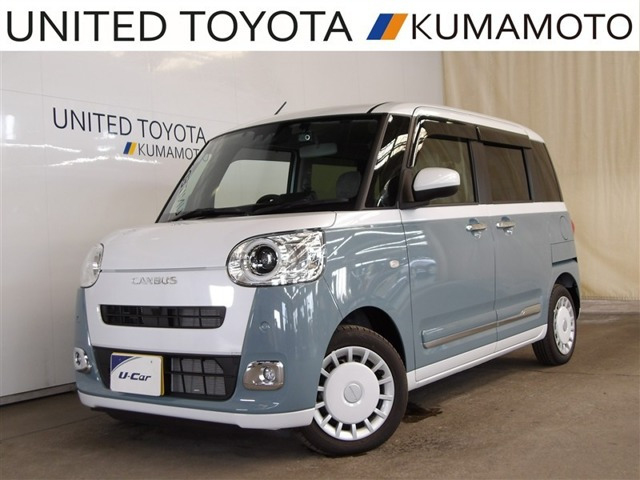 ムーヴキャンバス  ストライプス G