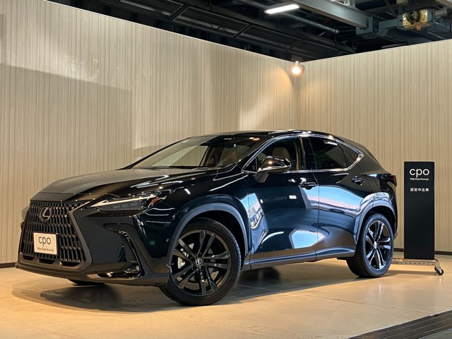 NX450hプラス バージョンL 4WD