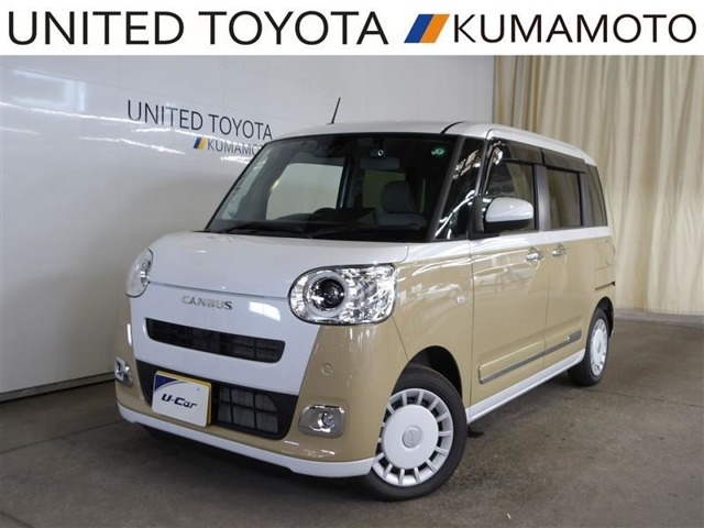 ムーヴキャンバス  ストライプス G