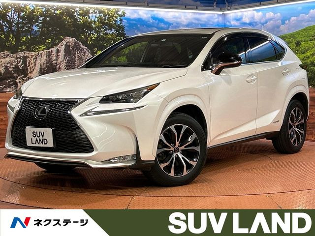 NX 300h Fスポーツ 