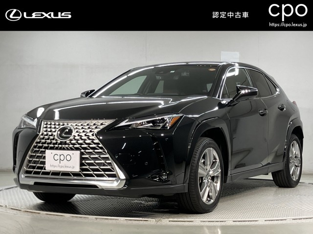UX 250h グレイスフル エクスプローラー 
