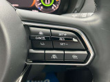 登録した速度に保ち走行するレーダークルーズコントロール付き。高速やバイパスでの運転支援に役立つ便利アイテムです!