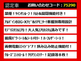アルファード 2.5 G モデリスタフルエアロ 10インチナビ 禁煙車
