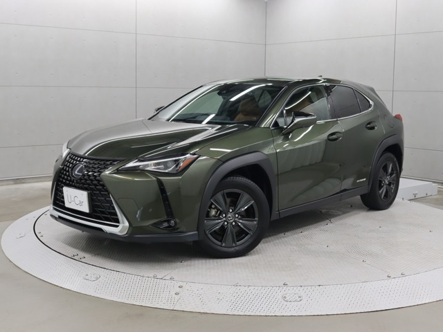 UX250hブラウン エディション