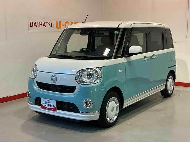 ムーヴキャンバス G メイクアップ リミテッド SAIII 