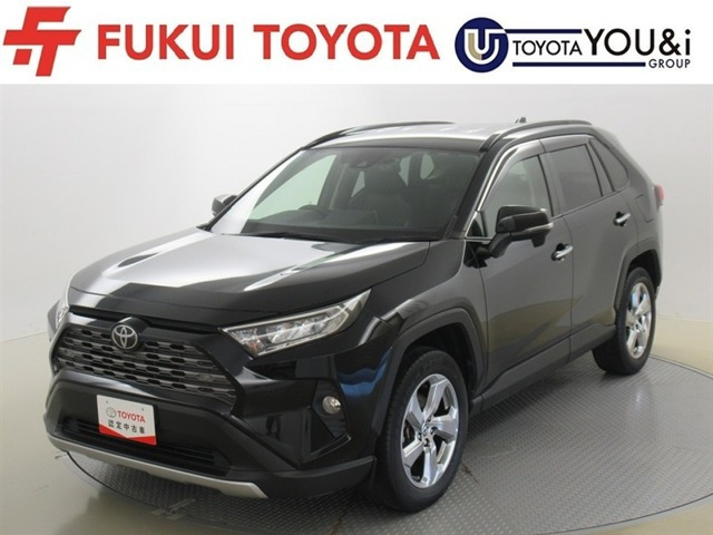RAV4 2.0 G 4WD