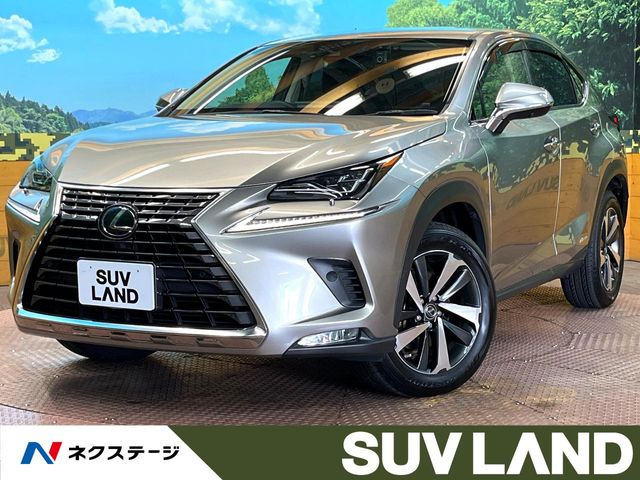 NX 300h バージョンL 