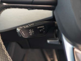 ACC(前車追従式クルーズコントロール)の操作レバーです。ハンドルを握ったままブラインドタッチで車速の設定や再発進が行える便利機能です。