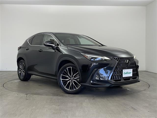 NX 250 バージョンL 本革シート 修復歴無し
