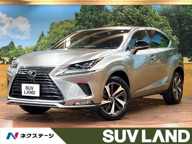 NX 300h スパイス&シック 