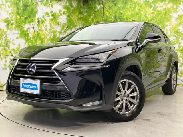 NX300h Iパッケージ