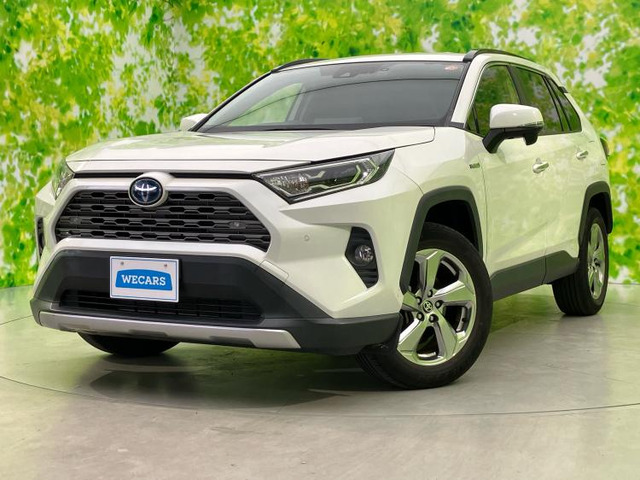 RAV42.5 ハイブリッド G E-Four 4WD
