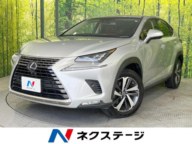 NX300h バージョンL