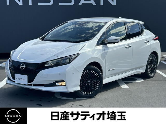 リーフ G 