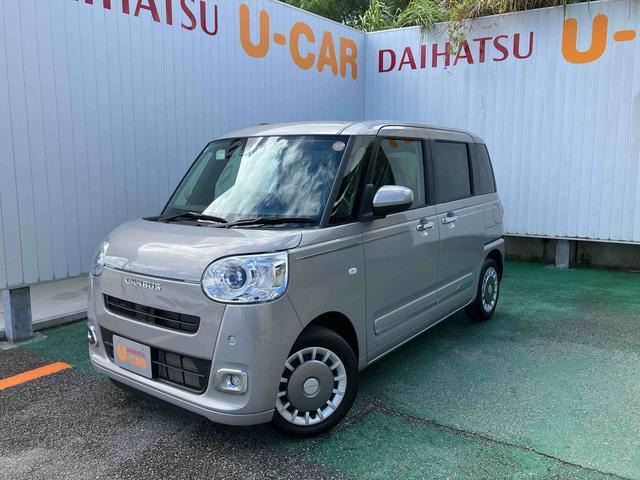 ムーヴキャンバス  セオリー G