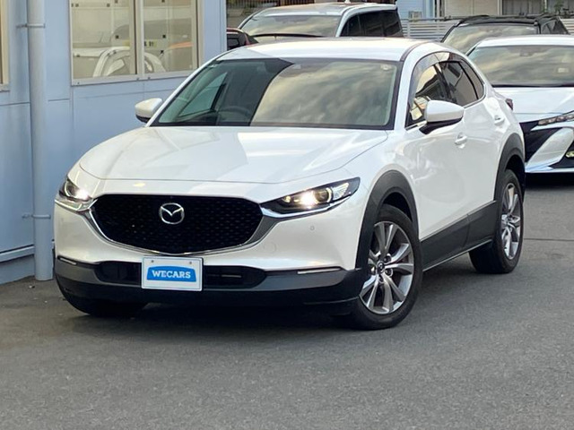 CX-301.8 XD Lパッケージ