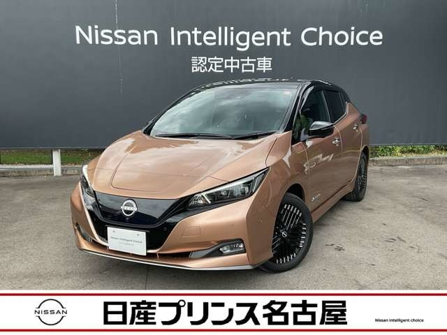 リーフ e+ G 