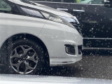 掲載箇所以外にご希望の写真がございましたら、お気軽にお問い合わせ下さい!メールや郵送でお送りさせていただきます。