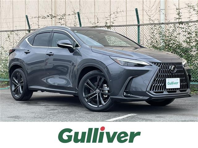 NX450hプラス バージョンL 4WDサンルーフ