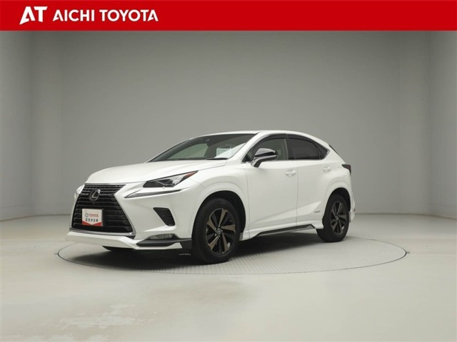 NX300h スパイス&シック 4WD