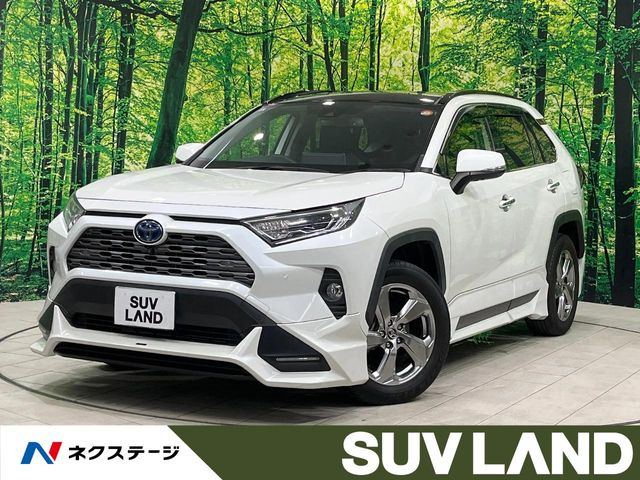 RAV4 2.5 ハイブリッド G E-Four 4WD （6AA-AXAH54）