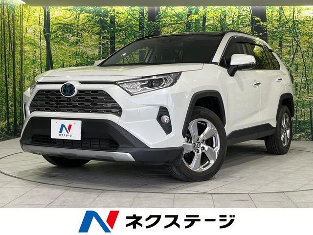 RAV4 2.5 ハイブリッド G E-Four 4WD （6AA-AXAH54）