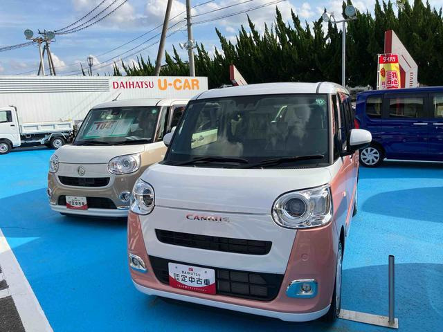 ムーヴキャンバス ストライプス G