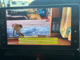 純正9インチナビはテレビも観れます!