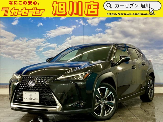 UX250h バージョンL寒冷地仕様 ブルートゥースオーディオ ワ