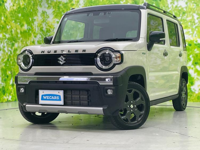 ハスラータフワイルド