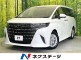 後席モニター 両側電動ドア 全周囲カメラ 衝突軽減 レーダークルーズ