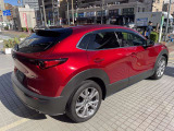CX-30 2.0 20S プロアクティブ ツーリングセレクション 