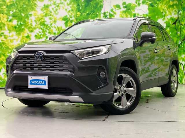 RAV42.5 ハイブリッド G E-Four 4WD