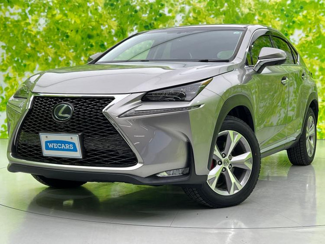 NX300h バージョンL 4WD