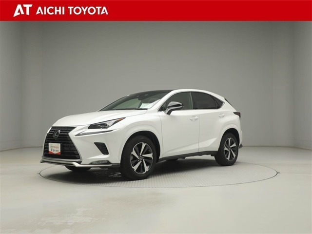 NX300スパイス&シック