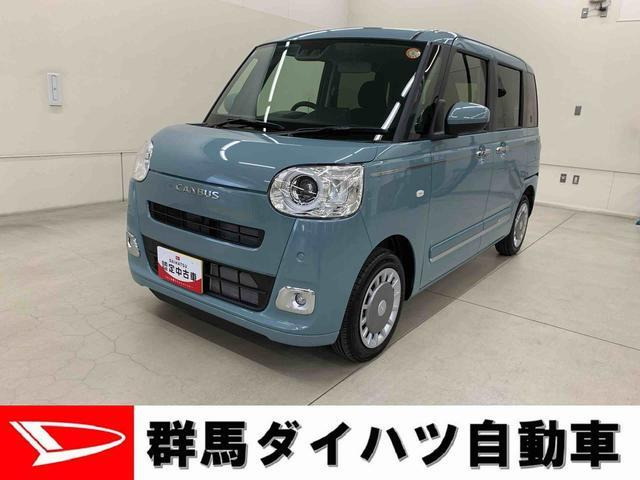 ムーヴキャンバス セオリー G