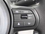 【アダプティブクルーズコントロール】予め設定した車速内でクルマが自動的に加減速。前走車との適切な車間距離を維持しながら追従走行します。【LKAS】車線維持支援システムでステアリング操作を支援。