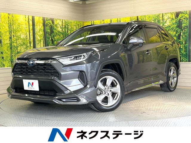 RAV42.5 ハイブリッド X