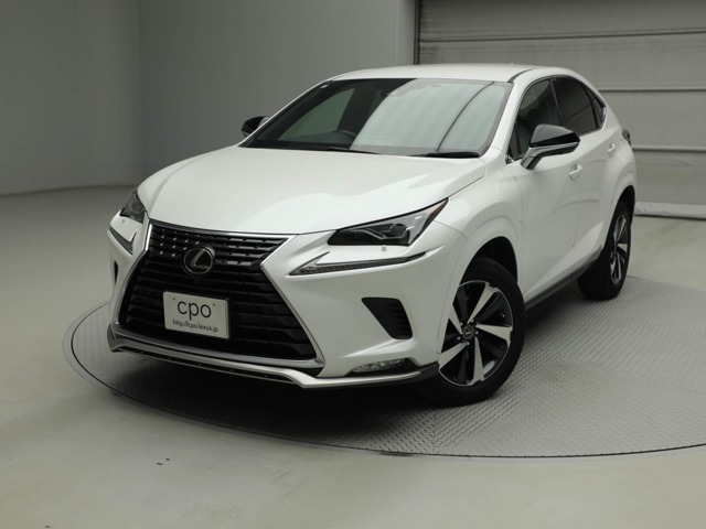 NX300スパイス&シック