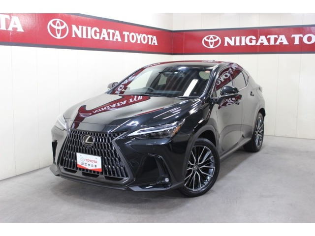 NX350h バージョンL 4WD