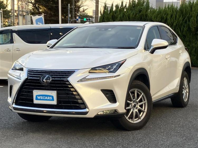 NX300h Iパッケージ